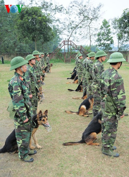 Tập đội ngũ